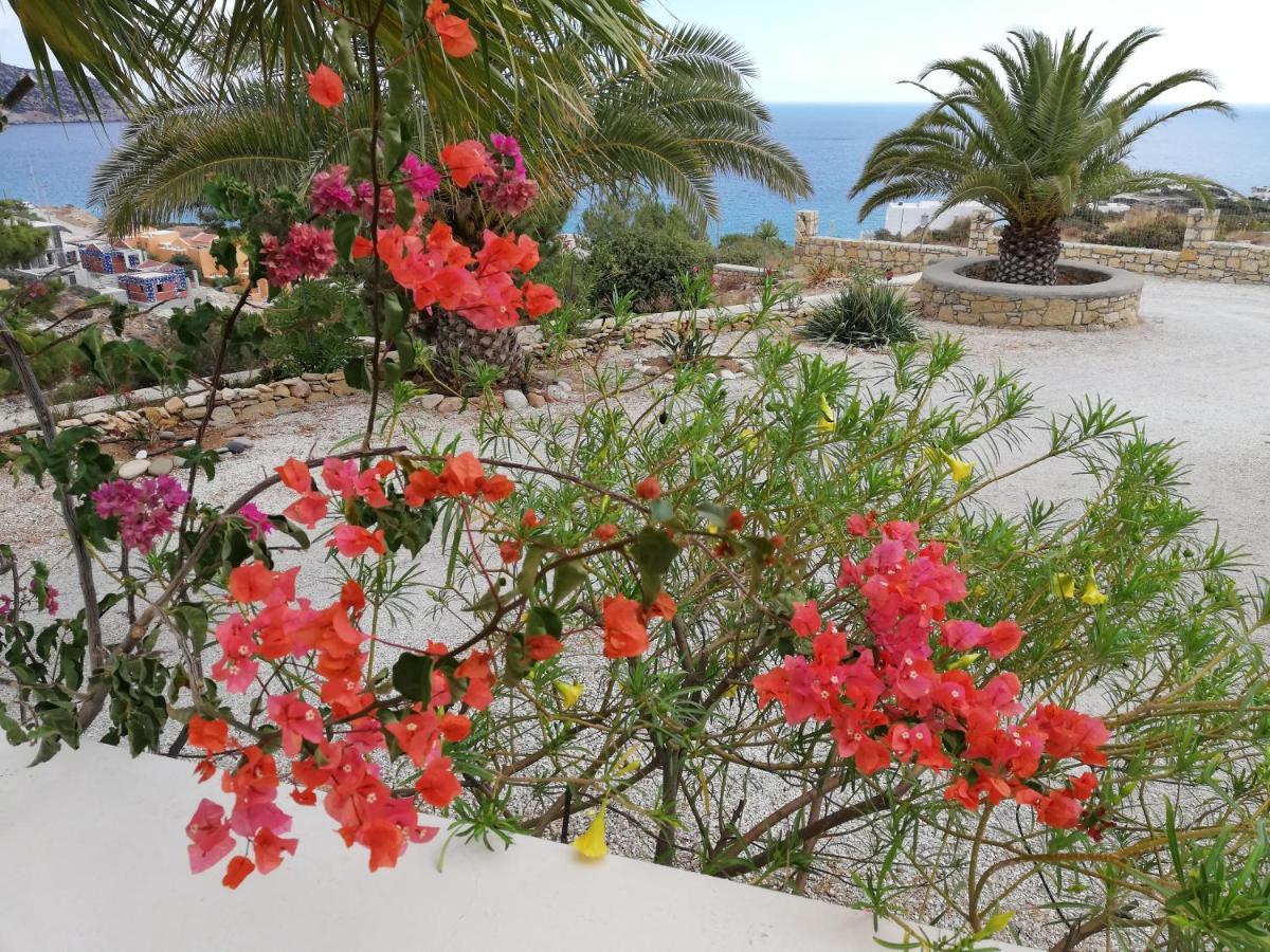 Tranquil Villa With Sea View In Ammopi Karpathos Amoopi Esterno foto